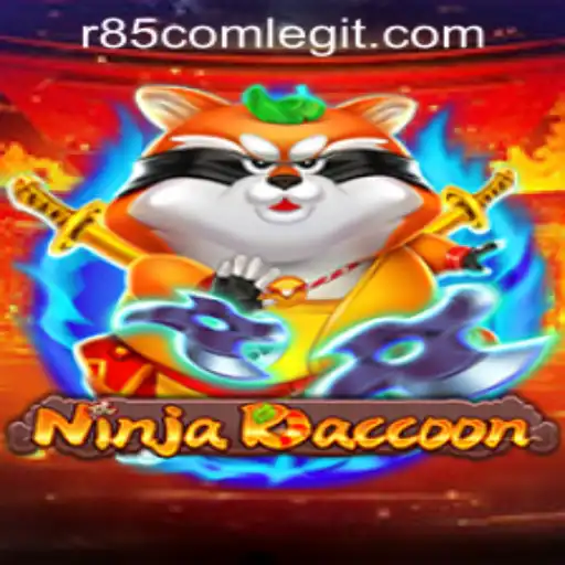 NinjaRaccoon: A Dynamic Adventure in a World of Mystery and Skill